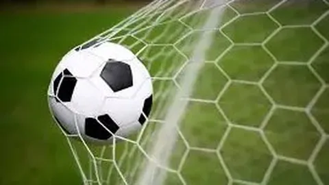 星空娱乐 产品 025017 nyx